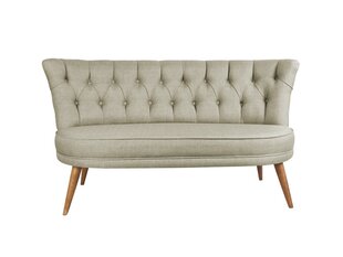 Мягкий диван Artie Richland Loveseat, серый цена и информация | Диваны | pigu.lt