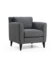 Кресло Artie Nordic, серое цена и информация | Кресла в гостиную | pigu.lt
