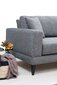 Sofa Artie Nordic 210, tamsiai pilka kaina ir informacija | Sofos | pigu.lt