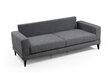 Sofa Artie Nordic 210, tamsiai pilka kaina ir informacija | Sofos | pigu.lt