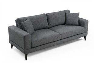 Sofa Artie Nordic 210, tamsiai pilka kaina ir informacija | Sofos | pigu.lt