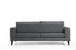 Sofa Artie Nordic 210, tamsiai pilka kaina ir informacija | Sofos | pigu.lt