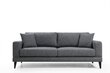 Sofa Artie Nordic 210, tamsiai pilka kaina ir informacija | Sofos | pigu.lt