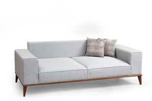 Sofa Artie Montana 223, pilka kaina ir informacija | Sofos | pigu.lt