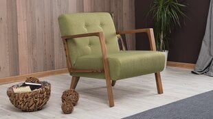 Кресло Artie Kemer, зеленое цена и информация | Кресла в гостиную | pigu.lt