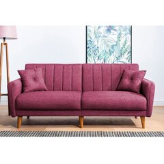 Sofa Artie Aqua, raudona kaina ir informacija | Sofos | pigu.lt