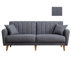 Sofa Artie Aqua, tamsiai pilka kaina ir informacija | Sofos | pigu.lt