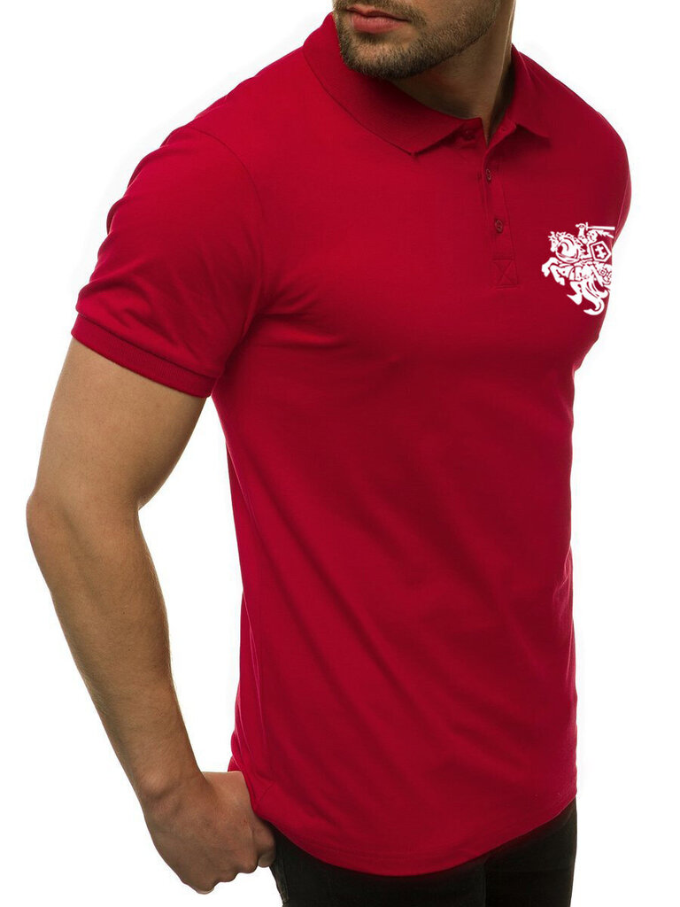 Marškinėliai vyrams Vytis, raudoni цена и информация | Vyriški marškinėliai | pigu.lt