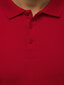 Marškinėliai vyrams Vytis, raudoni kaina ir informacija | Vyriški marškinėliai | pigu.lt
