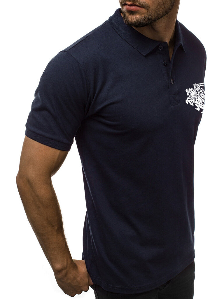 Marškinėliai vyrams Vytis, mėlyni kaina ir informacija | Vyriški marškinėliai | pigu.lt
