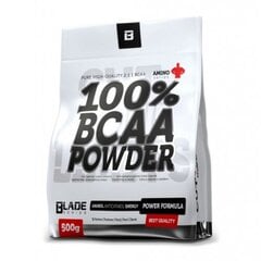 Aminorūgštys Hi Tec 100% BCAA Powder, 500 g kaina ir informacija | Aminorūgštys | pigu.lt