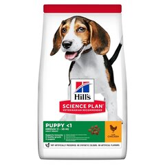 HILL'S Science Plan Puppy Medium breed sausas šuniukų maistas su vištiena 14 kg kaina ir informacija | Sausas maistas šunims | pigu.lt