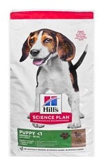 HILL'S Science Plan Puppy Medium breed vidutinio dydžio šuniukams su eriena ir ryžiais 14 kg kaina ir informacija | Sausas maistas šunims | pigu.lt