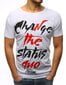 Marškinėliai su užrašais Status, balti kaina ir informacija | Vyriški marškinėliai | pigu.lt