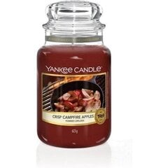Ароматическая свеча Yankee Candle Crisp Campfire Apples, 623 г цена и информация | Подсвечники, свечи | pigu.lt
