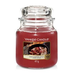 Žvakė Yankee Candle kaina ir informacija | Žvakės, Žvakidės | pigu.lt