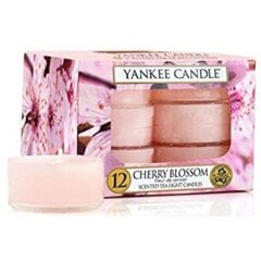 Ароматические чайные свечи Yankee Candle Cherry Blossom Candle, 12 шт, 9.8 гр цена и информация | Подсвечники, свечи | pigu.lt