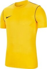 Nike vyriški marškinėliai BV6883 719, geltoni kaina ir informacija | Sportinė apranga vyrams | pigu.lt