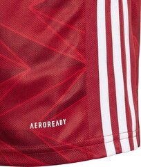 Футболка Adidas Arsenal FC, красная цена и информация | Футбольная форма и другие товары | pigu.lt