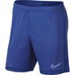 Nike vyriški sportiniai šortai Dry Academy M AJ9994-480, mėlyni kaina ir informacija | Sportinė apranga vyrams | pigu.lt