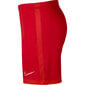 šortai vyrams Nike Dri-FIT Academy J9994 657, raudoni kaina ir informacija | Sportinė apranga vyrams | pigu.lt