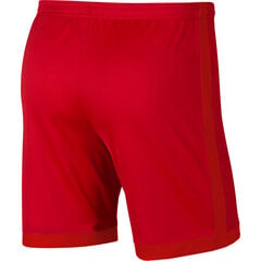 Мужские шорты Nike Dri-FIT Академия красный aJ9994 657 цена и информация | Мужская спортивная одежда | pigu.lt