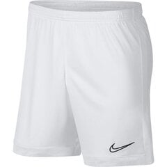 Nike шорты мужские Dry Academy M AJ9994-101, белые цена и информация | Мужские шорты | pigu.lt