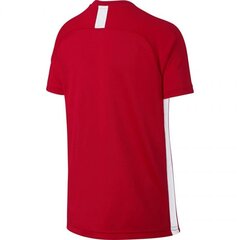 Футболка спортивная детская Nike B Dry Academy SS Junior AO0739- 657 (46441) цена и информация | Рубашки для мальчиков | pigu.lt