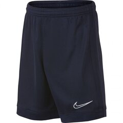 Спортивные шорты для мальчиков Nike B Dry Academy Junior AO0771 452, синие цена и информация | Шорты для мальчиков Gulliver, серые милитари | pigu.lt