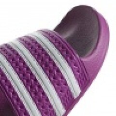 Šlepetės moterims Adidas W CG6539, violetinės цена и информация | Женские тапочки | pigu.lt