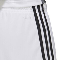 Adidas Жилеты Helionic Vest Green HG6274 цена и информация | Мужская спортивная одежда | pigu.lt