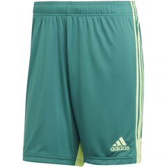 Спортивные шорты мужские Adidas M Tastigo 19, зеленые цена и информация | Мужская спортивная одежда | pigu.lt