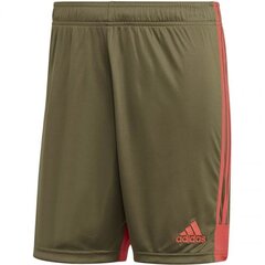 Спортивные шорты мужские Adidas Tastigo 19, коричневые цена и информация | Мужская спортивная одежда | pigu.lt