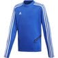 Džemperis berniukams Adidas Tiro 19 blue JR DT5279, mėlynas цена и информация | Megztiniai, bluzonai, švarkai berniukams | pigu.lt