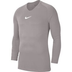 Мужская футболка Nike Dry Park First Layer JSY LS M AV2609 05, серая цена и информация | Мужские термобрюки, темно-синие, SMA61007 | pigu.lt