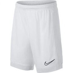 Спортивные шорты для детей Nike Dry Academy JR AO0771- 101 (46801) цена и информация | Шорты для мальчиков | pigu.lt