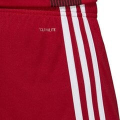 Šortai vyrams Adidas Tastigo 19 M DP3681, raudoni kaina ir informacija | Sportinė apranga vyrams | pigu.lt