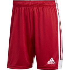 Мужские шорты Adidas Tastigo 19 M DP3681, красные цена и информация | Мужские термобрюки, темно-синие, SMA61007 | pigu.lt