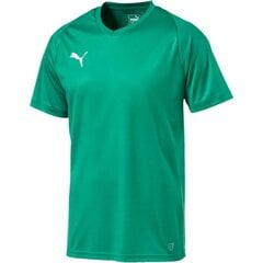 Спортивная футболка мужская Puma Liga Core M 703509 05, 46881 цена и информация | Мужская спортивная одежда | pigu.lt