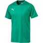 Sportiniai marškinėliai vyrams Puma Liga Core M 703509 05, 46881 kaina ir informacija | Sportinė apranga vyrams | pigu.lt