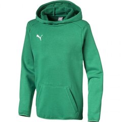 Джемпер для мальчиков Puma Liga Casuals Hoody JR 655636 05 цена и информация | Свитеры, жилетки, пиджаки для мальчиков | pigu.lt