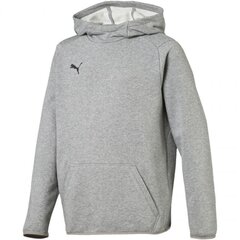 Джемпер для мальчиков Puma Liga Casuals Hoody JR 655636 33 цена и информация | Свитеры, жилетки, пиджаки для мальчиков | pigu.lt