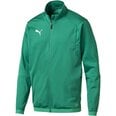 Свитер мужской Puma Liga Training Electric M 655687 05