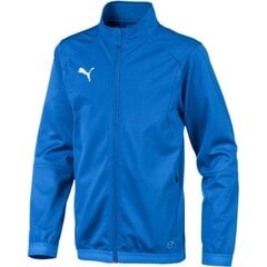 Джемпер для мальчиков Puma Liga Training Electric Junior 655688 02 цена и информация | Свитеры, жилетки, пиджаки для мальчиков | pigu.lt