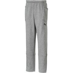 Спортивные штаны для мальчиков Puma Liga Casuals Junior 655635 33 цена и информация | Спортивные штаны для мальчиков | pigu.lt