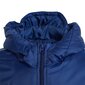 Žieminė sportiška striukė Adidas Core 18 JR DW9198 , mėlyma kaina ir informacija | Žiemos drabužiai vaikams | pigu.lt