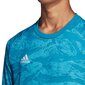 Džemperis berniukams Adidas AdiPro 19 GK Jr DP3139, mėlynas цена и информация | Megztiniai, bluzonai, švarkai berniukams | pigu.lt