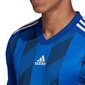 Sportiniai marškinėliai Adidas Striped 19 LS long sleeve M DP3208, 47174 kaina ir informacija | Sportinė apranga vyrams | pigu.lt