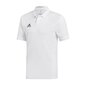 Marškinėliai vyrams Adidas Team 19 M DW6889, balti цена и информация | Sportinė apranga vyrams | pigu.lt