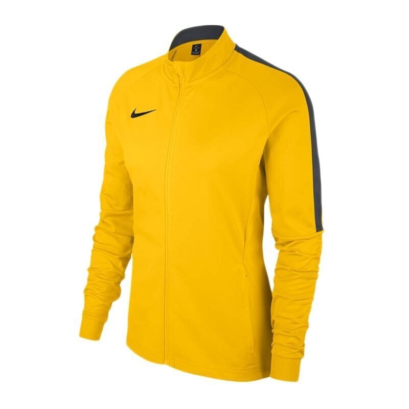 Džemperis moterims Nike Womens Academy 18 Trainin W 893767-719 kaina ir informacija | Džemperiai moterims | pigu.lt